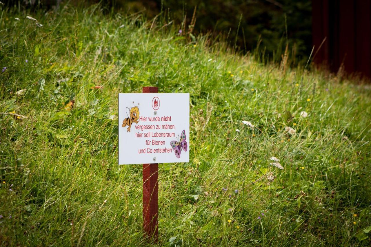 Erzgebirgsidyll Breitenbrunn - Waldhaus Neuer Anbau ภายนอก รูปภาพ